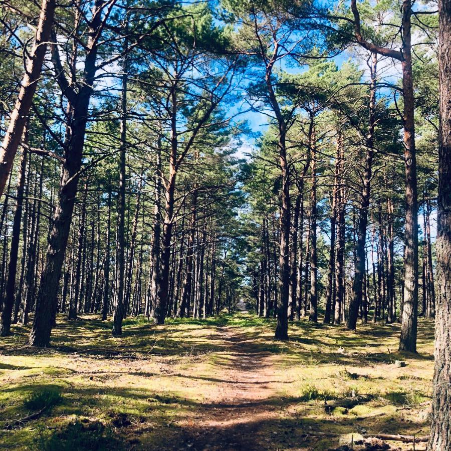 Piekny Domek Z Duzym Ogrodem Kopalino Dış mekan fotoğraf
